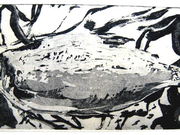 Truta Salmonada (Salmon Trout)