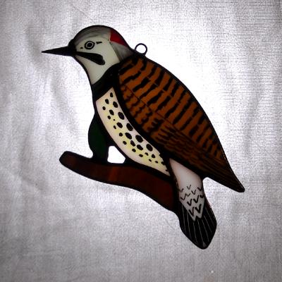 Yellow Shafted Flicker Yellow Shafted Flicker