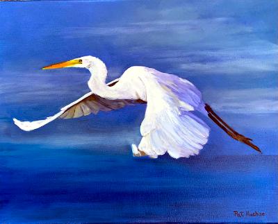 Great White Egret in Flight