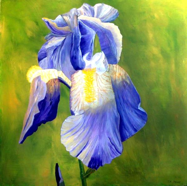 Eleanors Iris