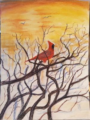 Cardinal at Sundown