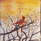 Cardinal at Sundown