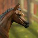 NEW! Custom Resin Foal ~ SUKI ~ SOLD