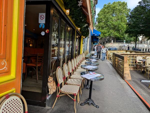 France Cats - Cafe Cat 1