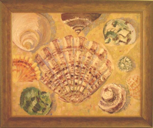Seashells in the sand