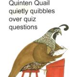 Quentin Quail