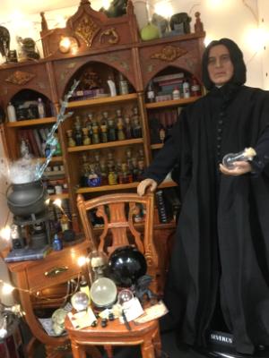 Snapes potions room display only