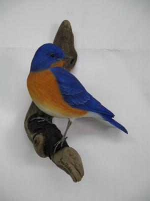 Eastern Bluebird #5  