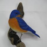 Eastern Bluebird #5  SOLD