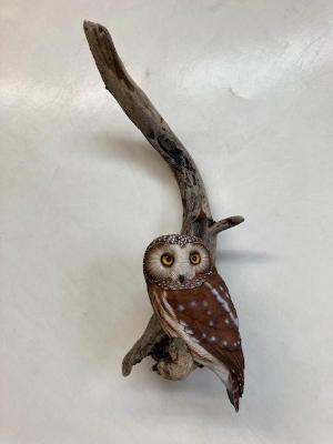 Life Size Saw wet Owl #13