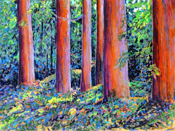 Redwood Grove  30x40