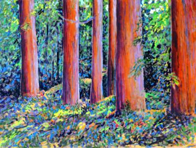 Redwood Grove  30x40