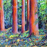 Redwood Grove  30x40