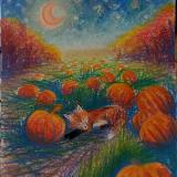 Sly Fox in Pumpkin Patch 