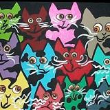 Kooky Cats