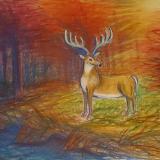 Deer in Autumn 