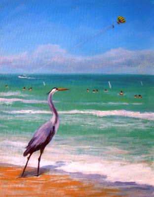 Beach Birds Beach Birds