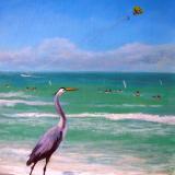 Beach Birds