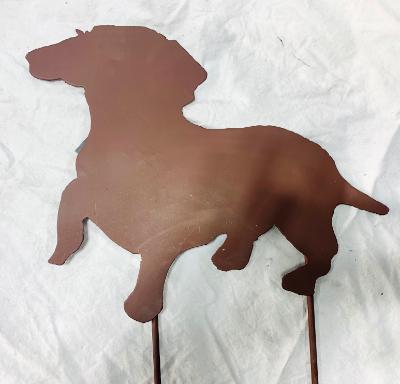 Dachsund Dachsund