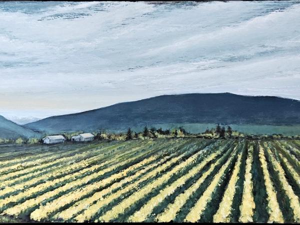 Nicolette Harrington