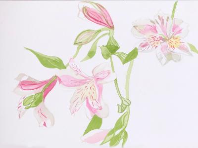 Watercolor Flowers Watercolor Flowers