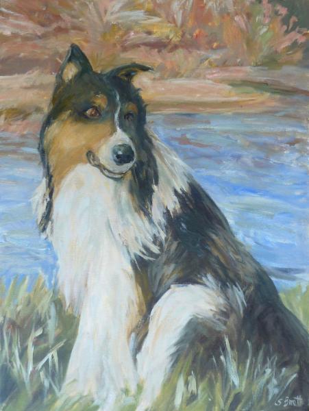 Collie 18 x 24 