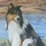 Collie 18 x 24 