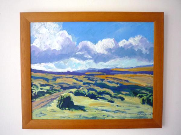 Moorland near Landacre Bridge, Exmoor