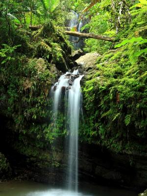 Tropical Double Falls Tropical Double Falls