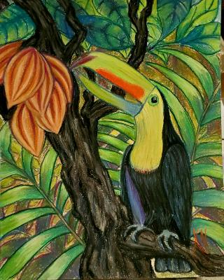 Keel Billed Toucan 