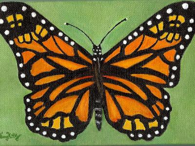 Orange Butterfly