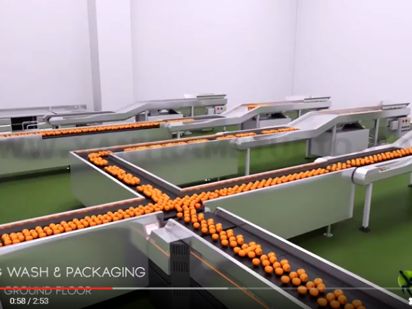 Food Processing Factory Animation