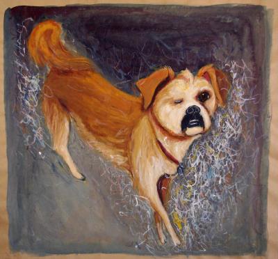 Lucky, The Rescue Dog