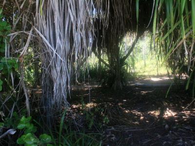 off the beaten paths off the beaten paths