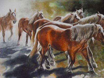 Group of horses, 38cm x 56cm, 2022