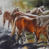 Group of horses, 38cm x 56cm, 2022