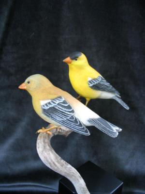Pair Goldfinch - sold