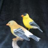 Pair Goldfinch - sold