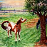 Horse Creations Horse Creations