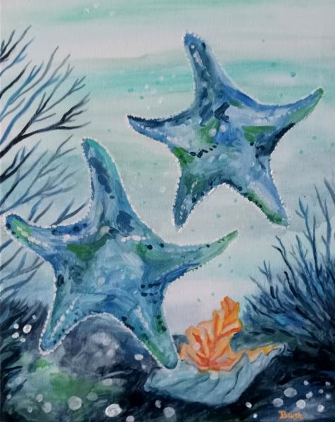 Starfish Under the Sea