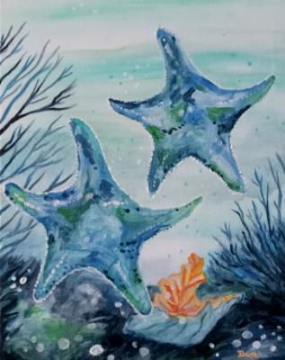 Starfish Under the Sea