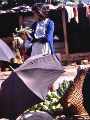 Nepalese girl shopping