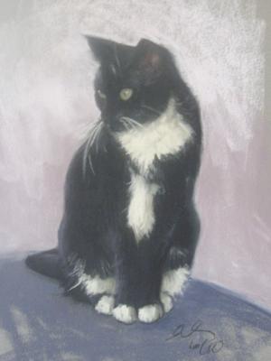 Meow 12x16" pastel Meow 12x16" pastel