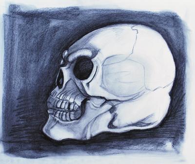 Skull Study