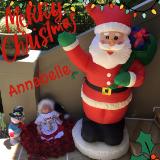 SHOW ENTRY: 1 ~ ANNABELLE (E.M)