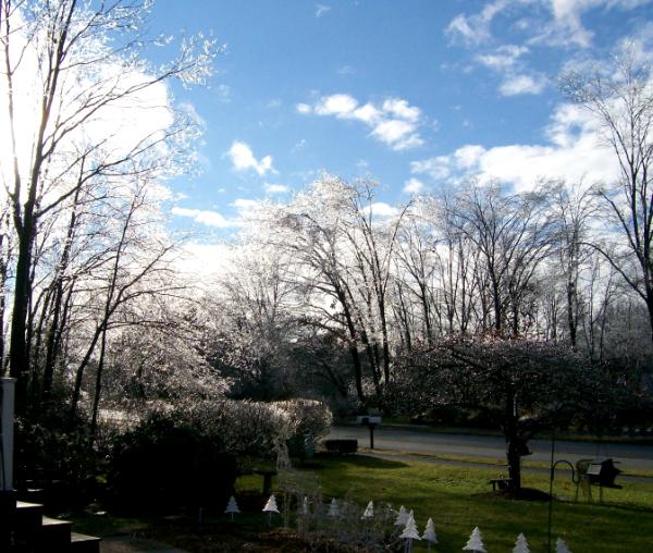 New England Dazzles