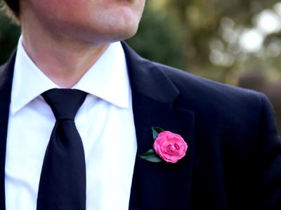 Pink Camellia Japonica Boutonniere Pink Camellia Japonica Boutonniere