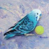 Blueberry