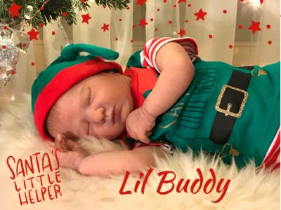 Lil Buddy ~ SOLD 