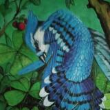 Patricia Gray, Fine Arts